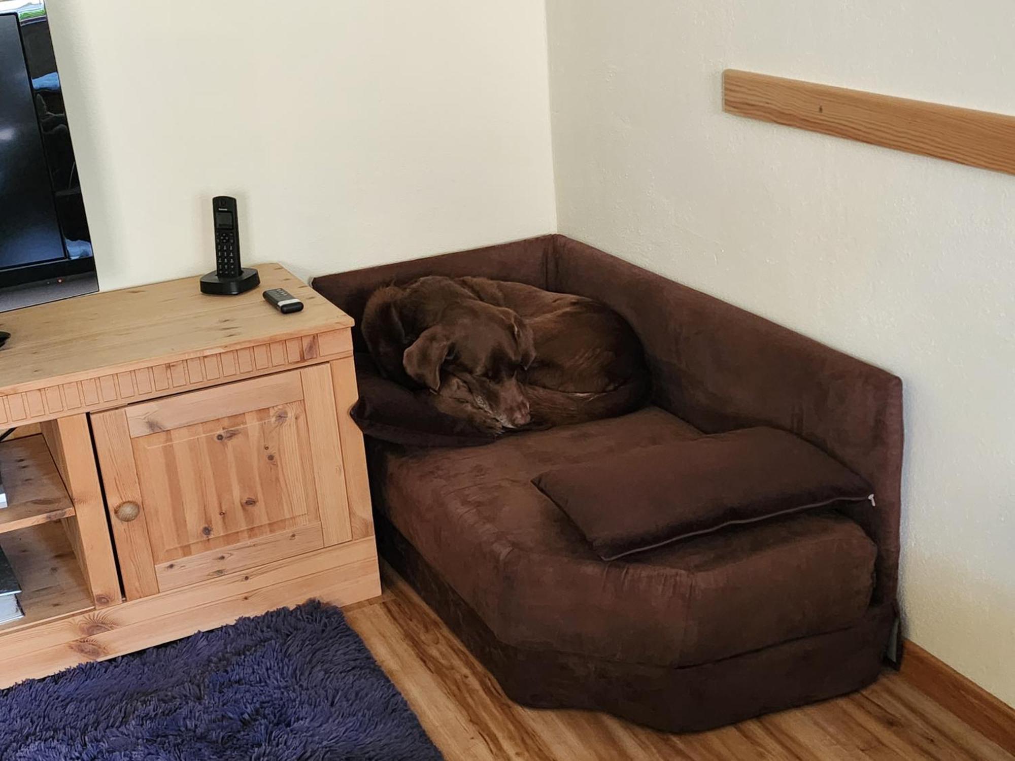 פוהנשטראוס Ferienwohnung Baer מראה חיצוני תמונה